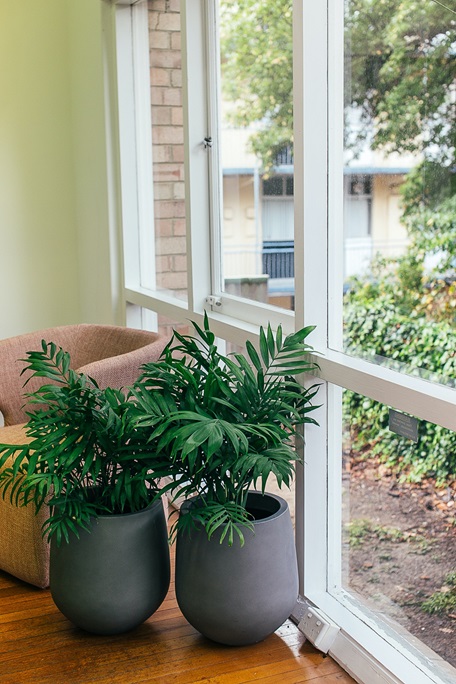 vinyl-windows-and-indoor-plants-Nampa-ID